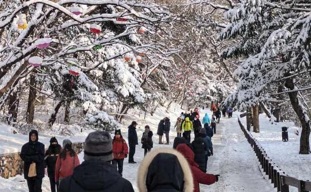 雪落千山披银装 八方游客赏胜景