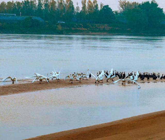 洛阳孟津：六大主题线路解锁沿黄文旅新体验