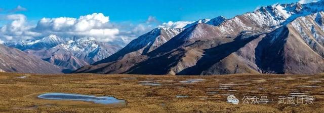 组图｜沿武仙高速 邂逅祁连秋景②