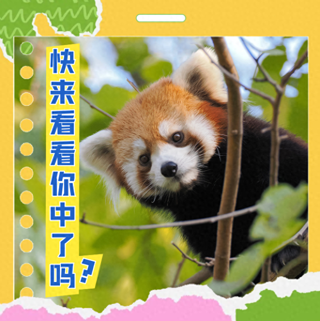 快查！你中奖了没