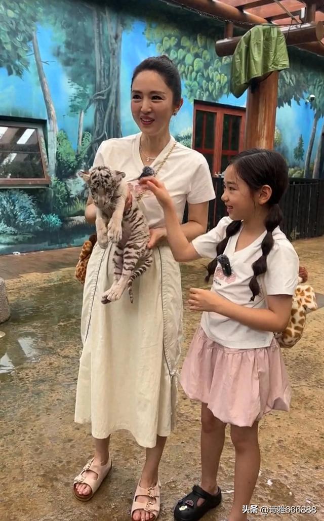 大家快来郑州银基动物王国偶遇董璇和小酒窝，小猴子小老虎好可爱