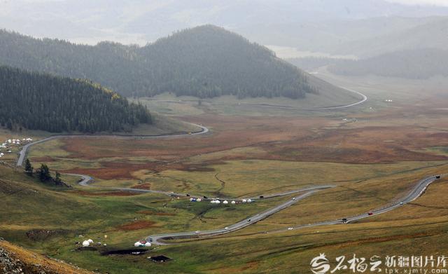 旅游促“三交”丨秋日阿禾公路：穿行在金色的画卷里