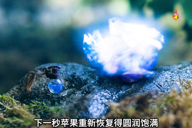 魔法王国全集（小伙意外穿越到魔法王国）