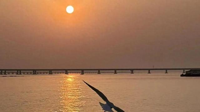 冬游青岛｜海上追鸥、月夜穿桥、登岛疗愈，青岛冬日不单调，纯干货推荐在这里→