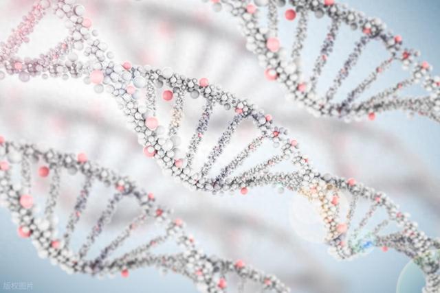 传说变成现实：科学家发现年轻血液激活骨髓细胞逆转皮肤衰老