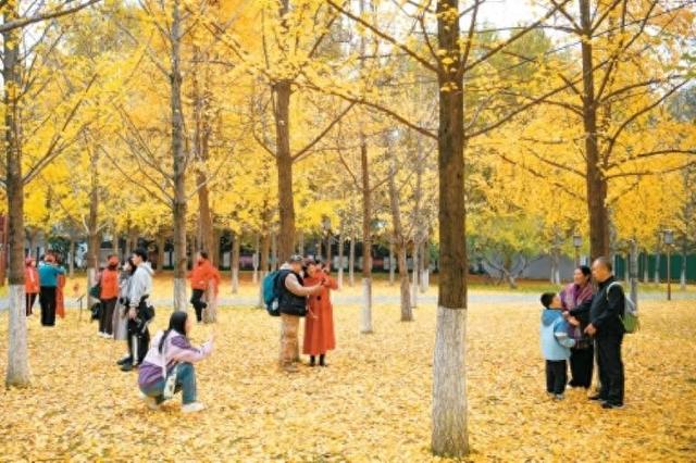 这就是文化传承最美妙的方式