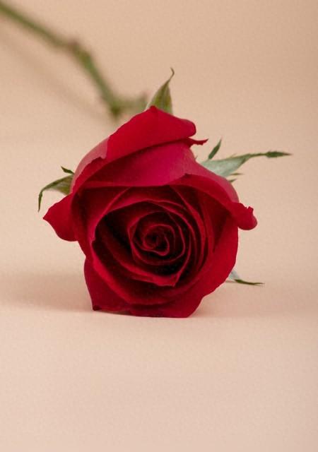 对老公寒心后，女人这么做，不离也能活得漂亮