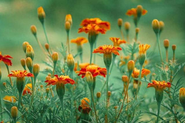 退休2年了，说说最近发生的事情