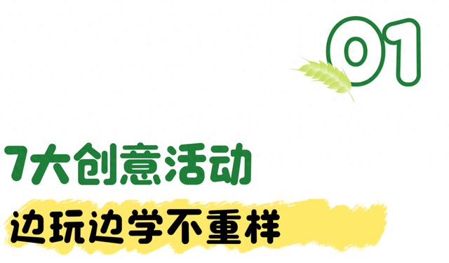 假期火了！金湾藏着个小众乐园！