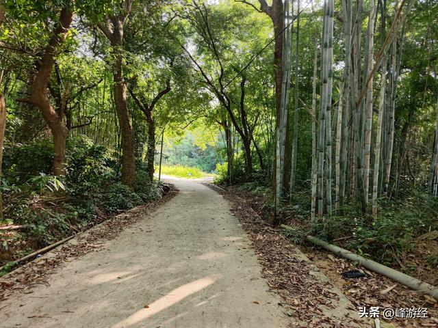 徒步增城牛牯嶂半途而废，邂逅一池碧水，堪称小九寨