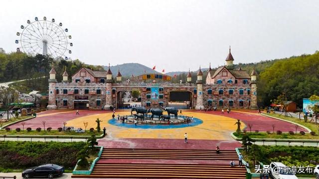 限时福利！南漳金秋菊展结束倒计时，入园参观送菊花……