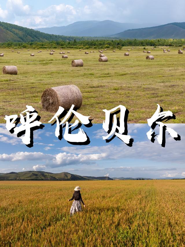 秋天到呼伦贝尔！我只为这几件事儿
