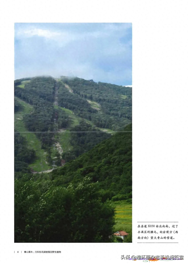 《青山草木》页选03