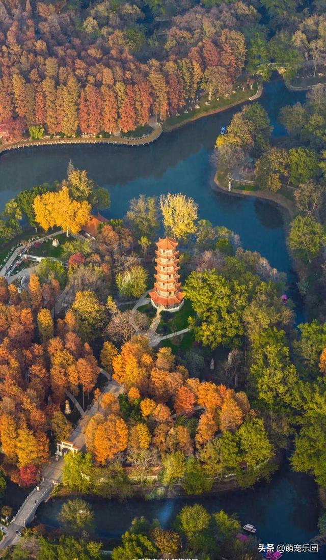 夜色轻抚长江两岸，武汉披上柔软外衣，今夜好梦话温柔