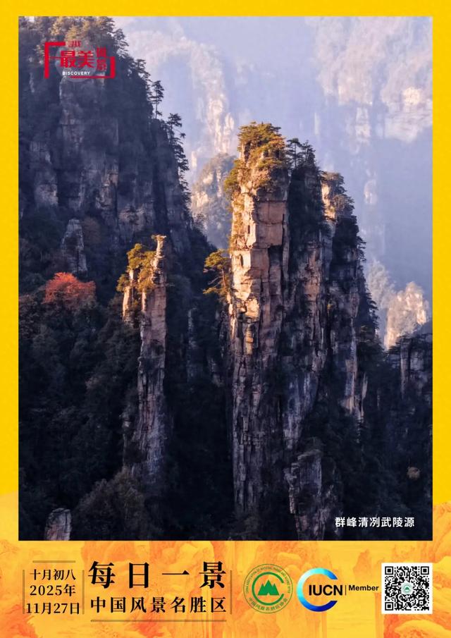 每日一景 | 群峰清冽武陵源