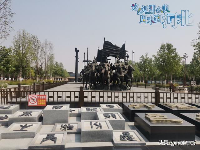 桂花树下赏桂花