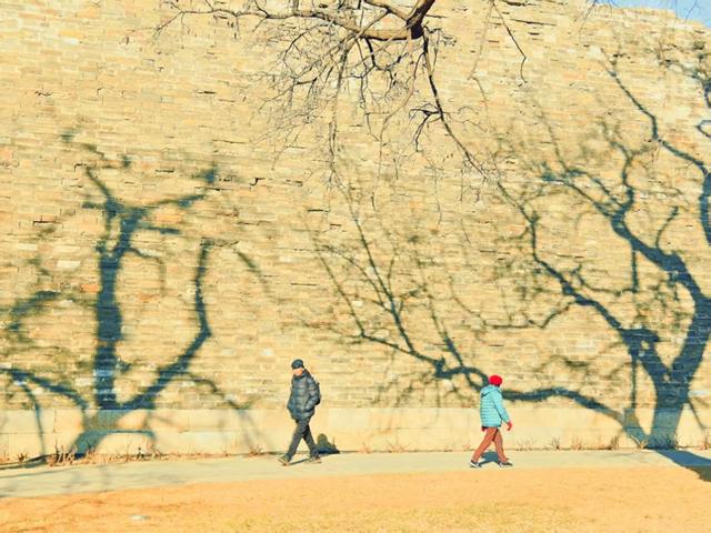 冬日午后，来明城墙遗址公园邂逅静谧时光