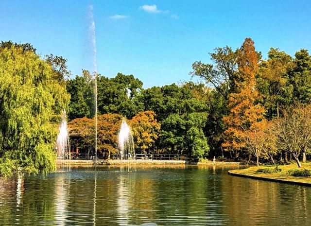 上海秋冬宝藏公园清单！8个免费治愈地，赏秋拍照两不误