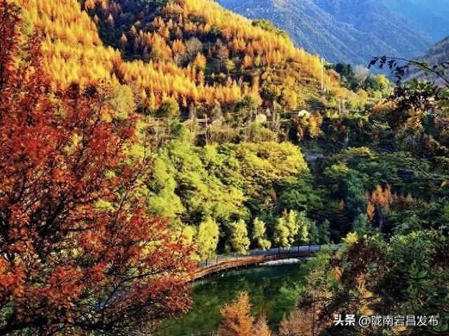 官鹅沟之秋：一场色彩与诗意的狂欢