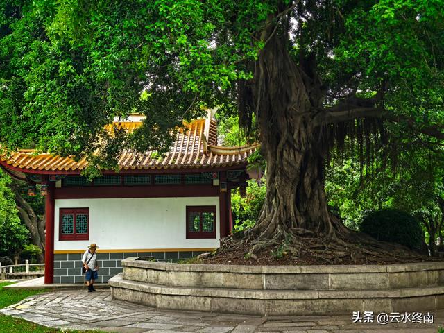 福州不多的收费古寺，20元门票能吃到宋代的荔枝吗？看我实地探访