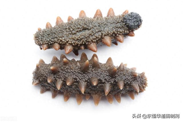 海参胶原蛋白活性肽 2025年海参胶原蛋白活性肽的作用与功效