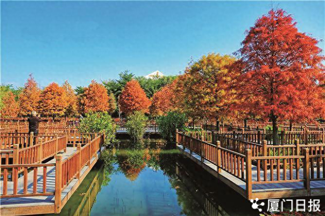 “湖里智慧公园”小程序正式上线！一码在手 随性游园