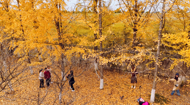 太美了！这个秋天，来石首牛皇庙打卡吧！