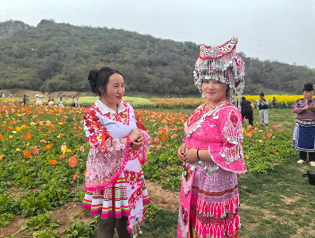 丹阳这处新晋春游打卡地，美翻了！