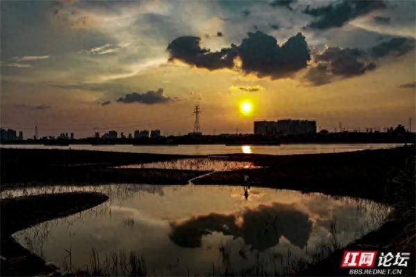 推窗何必远行？益阳十洲公园，坐收泼墨晚霞的天地馈赠
