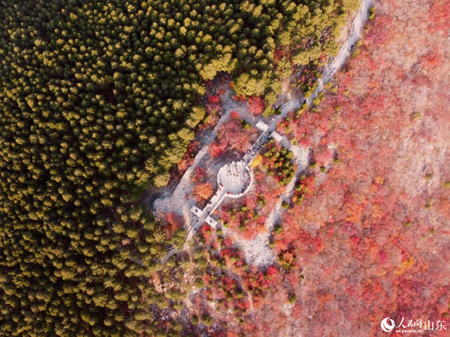 行进中国丨绿道蜿蜒处，山色入城来