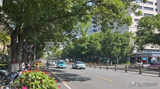 看城关区如何以方寸之美绘就绿色画卷～