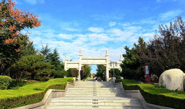 漫步泰安天平湖植物园