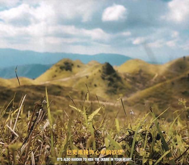 逃脱夏天的那天攻略（夏天的故事里）