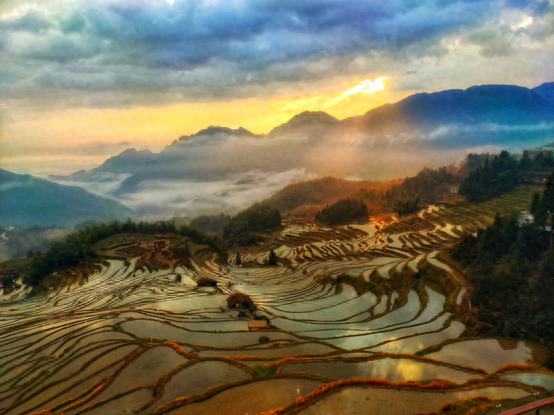 青山留我住江南｜云和梯田，“藏在深闺”人已识
