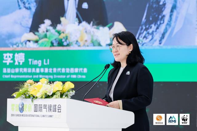 年发电量突破10万亿千瓦时 落基山研究所李婷：中国已构建起全球最大可再生能源系统