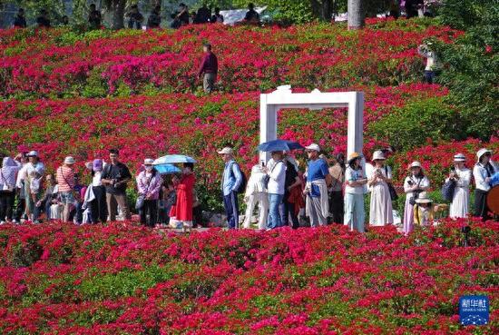 冬来赏花正当时