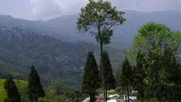 大吉岭，不只有红茶