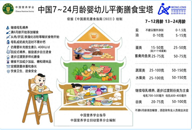 元素保卫战破解版（一岁前禁食肉泥婴幼儿辅食添加中的关键营养密码）
