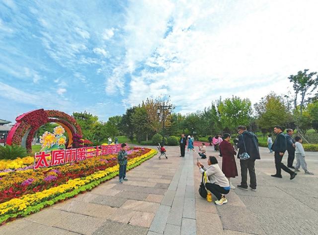 游玩赏菊