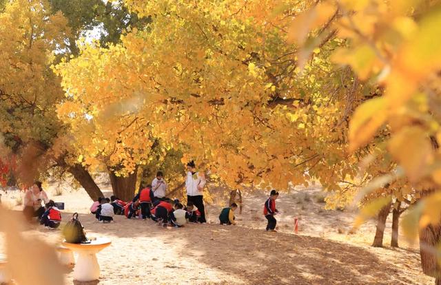 高台:九头胡杨迎来最佳观赏期