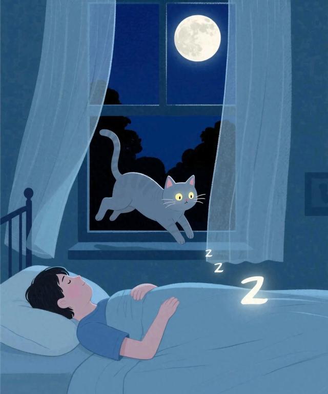 孕妇梦见小白猫是什么意思（梦到小猫是什么意思）