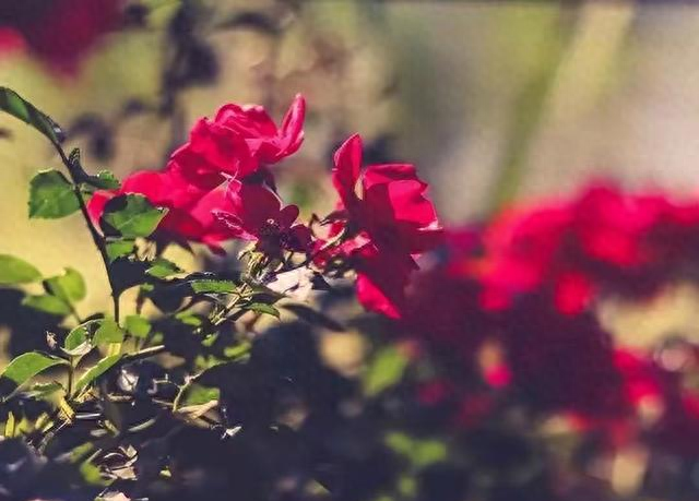 你喜欢的女人有没有对你动心，“碰一下”就知道