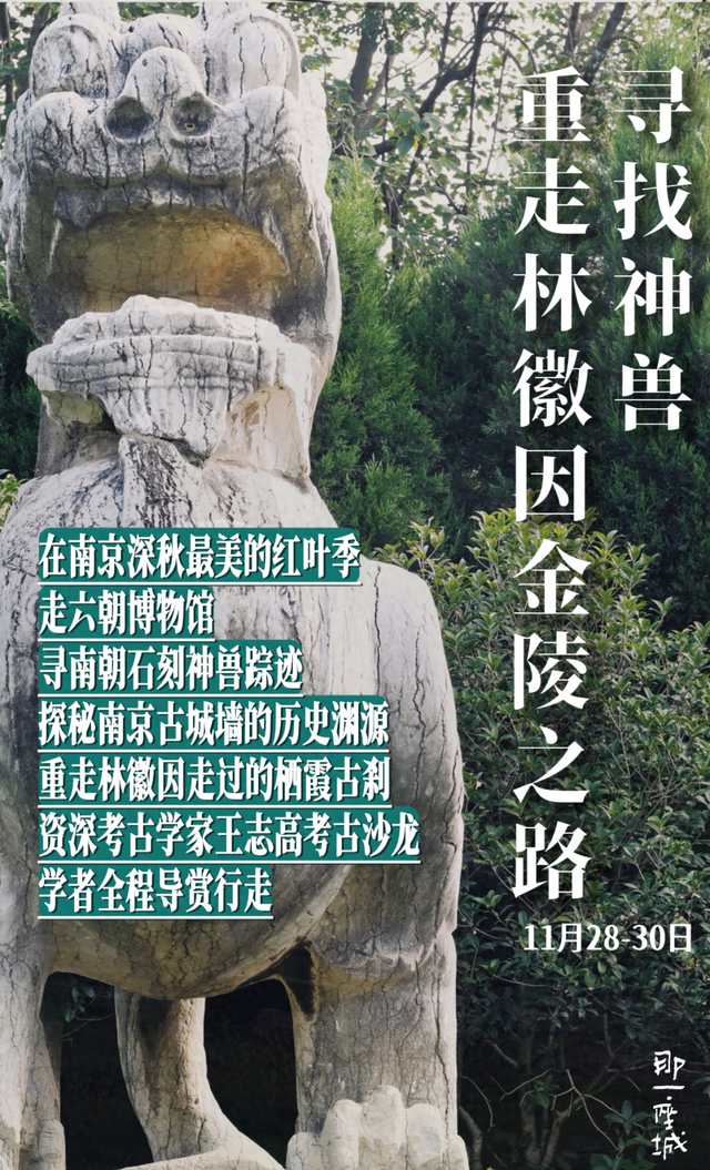 一到秋天，南京就美成了金陵