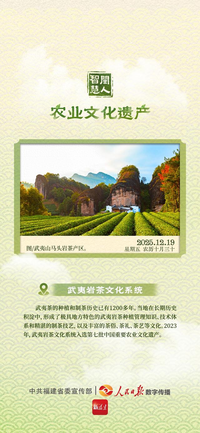 闽人智慧｜武夷岩茶文化系统