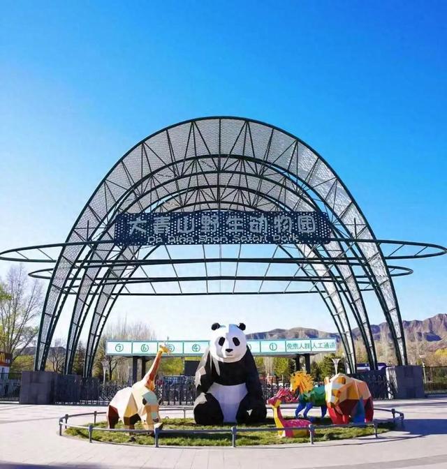 提前收好！双节假期大青山野生动物园又上大批新玩儿法