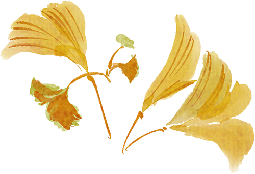 秋日限定“双骄”：从赏到玩转的完整攻略！