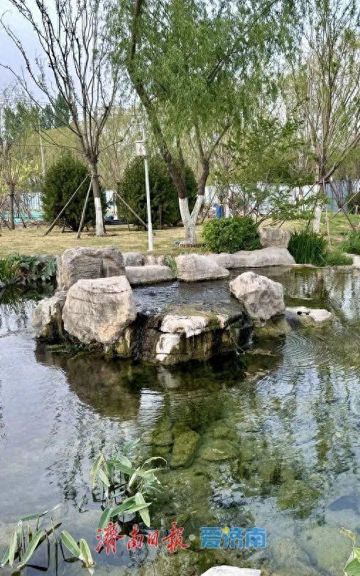 济南匠心守护泉脉擦亮泉水名片
