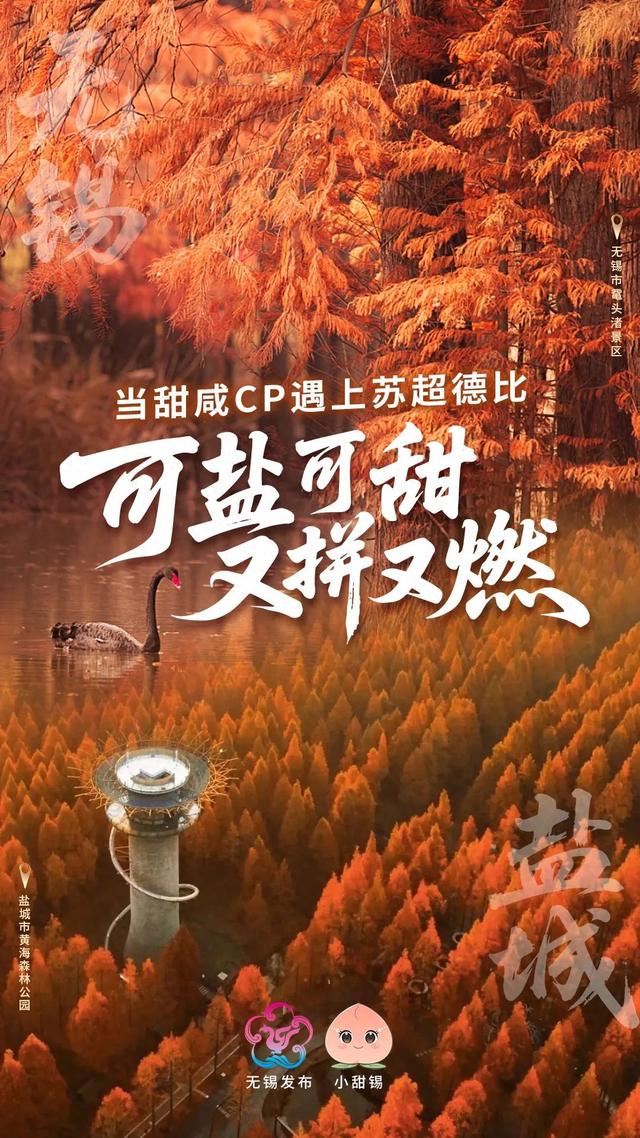 致 盐 城
