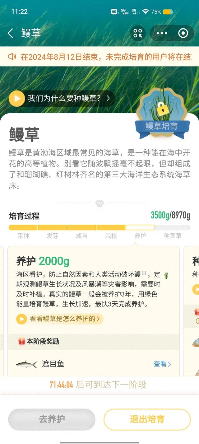 蚂蚁森林可以干什么用（蚂蚁森林到底有什么用）