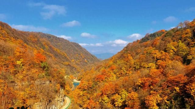 叮！龙头山秋日余额已不足！期待新一轮的冬雪到来~